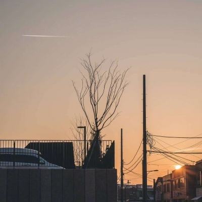 管家婆期期四肖四码中特管家app下载